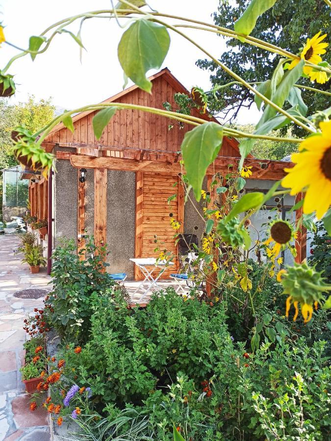Jermatun Guest House Dilijan Exterior foto